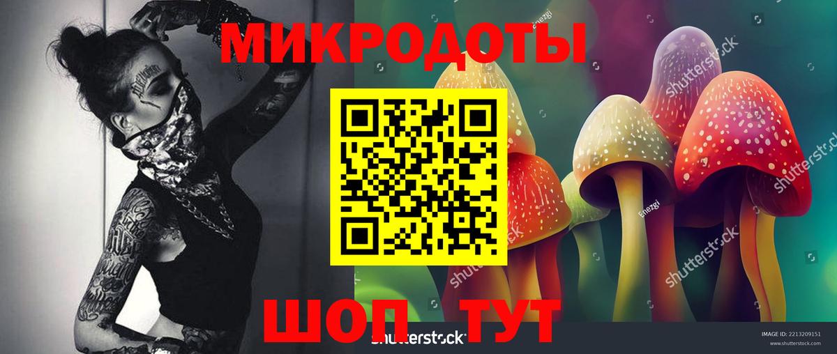 Псилоцибиновые грибы GOLDEN TEACHER  Вход с VPN  Ивантеевка 